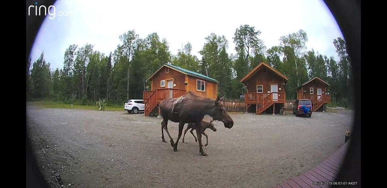 Talkeetna Love-Lee Cabins 호텔 외부 사진